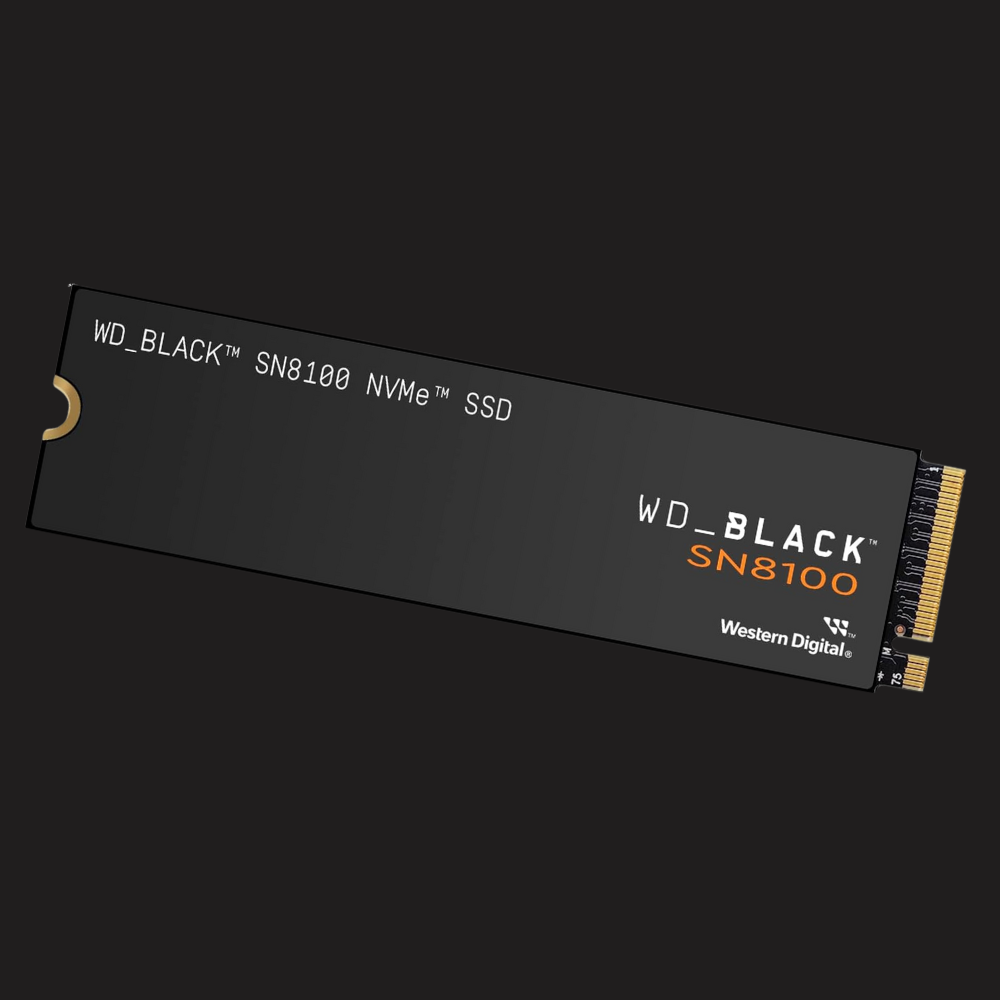 WD Black SN8100 – High-Speed PCIe 5.0 NVMe SSD